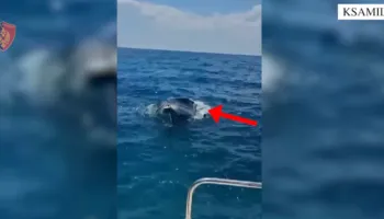 VIDEO/ Ksamil, skafi po fundosej, nxirren në breg dy turistë ukrainas