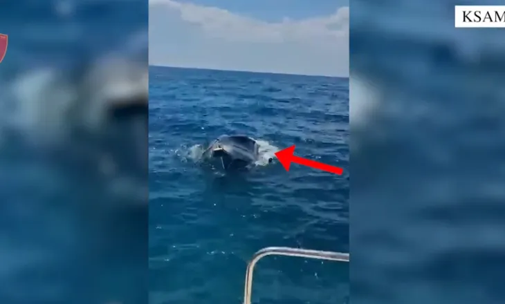 VIDEO/ Ksamil, skafi po fundosej, nxirren në breg dy turistë ukrainas