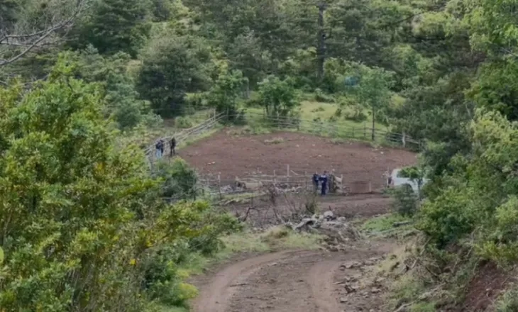 VIDEO/ Vrau 1 polic dhe plagosi një tjetër, Braçellari me plumb në bark e 2 në dorë! Ja stani ku fshihej në Lozhan të Maliqit