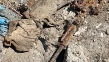 Vlorë/ Gjendet municion luftarak në Pyllin e Sodës, izolohet zona