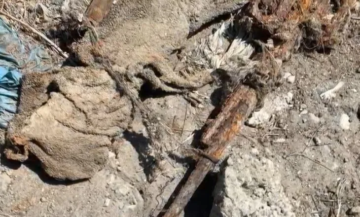 Vlorë/ Gjendet municion luftarak në Pyllin e Sodës, izolohet zona