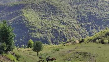 Zhduken dy turistë gjermanë në malin e Polisit në Librazhd, asnjë gjurmë që prej mbrëmjes së djeshme