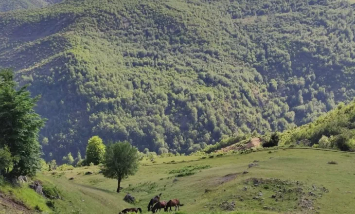 Zhduken dy turistë gjermanë në malin e Polisit në Librazhd, asnjë gjurmë që prej mbrëmjes së djeshme