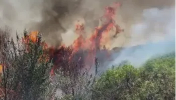 Zjarr i përmasave të mëdha pranë Parkut Arkeologjik të Bylisit