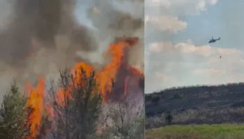 Zjarr në Mallakastër, rrezikohet Parku Arkeologjik i Bylisit