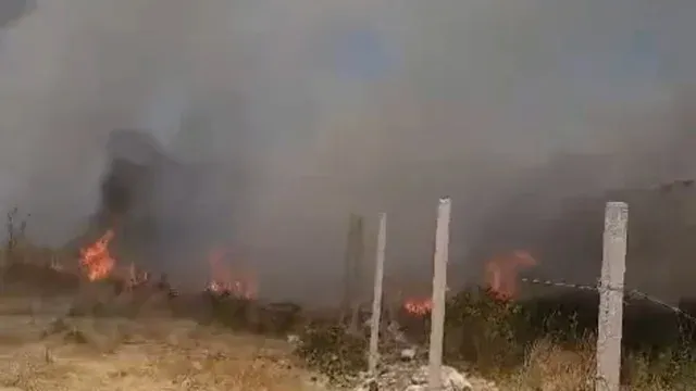 Zjarr në periferi të Vlorës/ Era dhe temperaturat e larta përhapin flakët pranë banesave