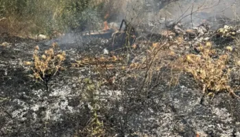 Zjarr pranë varrezave në Gjirokastër, banesat e fshatit Zenelaj në rrezik
