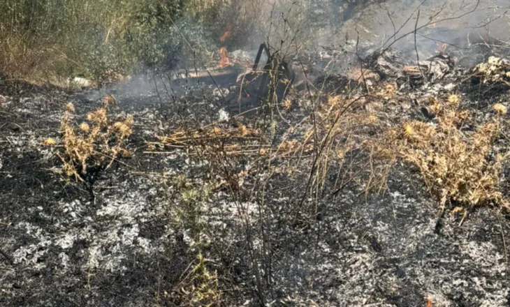 Zjarr pranë varrezave në Gjirokastër, banesat e fshatit Zenelaj në rrezik