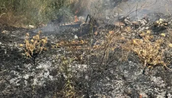 Zjarr pranë varrezave të fshatit Zenelaj në Gjirokastër