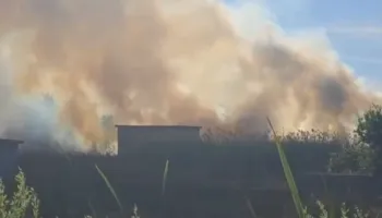 Zjarr pranë zonave të banuara në Vlorë, flakët “përpijnë” barishtet dhe shkurret
