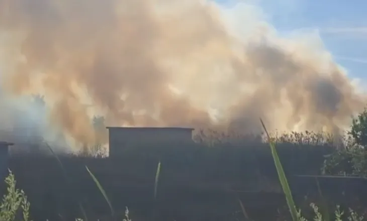 Zjarr pranë zonave të banuara në Vlorë, flakët “përpijnë” barishtet dhe shkurret