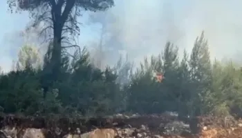 Zjarret rikthejnë alarmin në Lezhë, autoritetet shtojnë monitorimin në zonat bregdetare