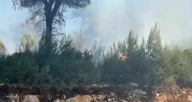Zjarret rikthejnë alarmin në Lezhë, autoritetet shtojnë monitorimin në zonat bregdetare