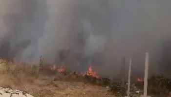 Zjarri në kodrat e Vlorës, flakët afrohen pranë banesave, detajet e para