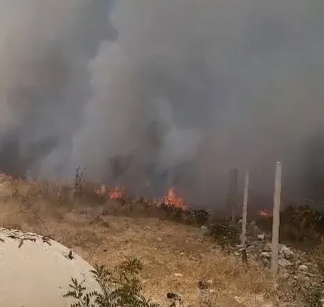 Zjarri në kodrat e Vlorës, flakët afrohen pranë banesave, detajet e para