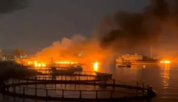 17 të vdekur dhe 115 të plagosur nga sulmet amerikane në Iran