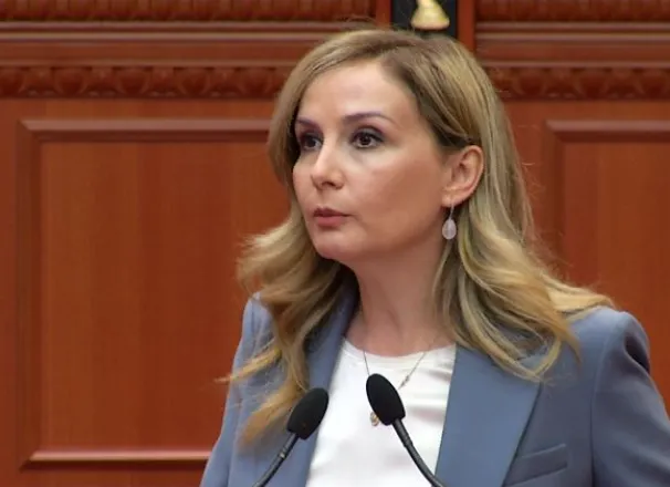 31 nga 35 amendamentet e opozitës marrin mbështetjen e eurodeputetëve, Tabaku: Europa nuk pranon integrim fasadë