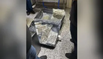 46 kg kanabis në formë xhelatine nga Toronto në Tiranë, 1 i arrestuar dhe 2 gra në hetim në gjendje të lirë