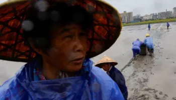Afrohet tajfuni Bavi, Kina evakuon mbi një milion banorë