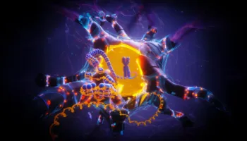 APOE2 mund të mbrojë trurin nga sëmundja e Alzheimerit dhe plakja