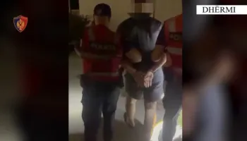 Armëmbajtje pa leje, vjedhje me dhunë dhe transportim të emigrantëve të paligjshëm, arrestohen 3 persona