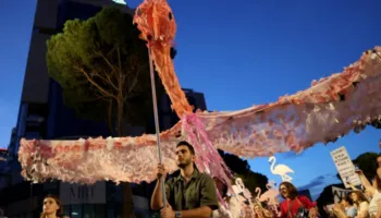 BBC: ‘Revolucioni i Flamingove’ merr hov, shqiptarët kërkojnë dorëheqjen e Ramës