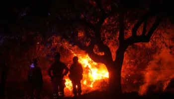 Betejë me zjarret dhe të nxehtin, dhjetëra vatra mbeten aktive në Francë e Spanjë. Shqetësuese, rritja e temperaturave