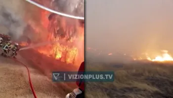 Betejë me zjarret dhe të nxehtin, dhjetëra vatra mbeten aktive në Francë e Spanjë! Shqetësuese, rritja e temperaturave