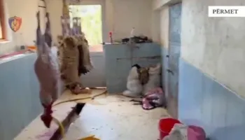 Bie në prangat e policisë 62-vjeçari/ Kishte kthyer shtëpinë në thertore, dhe mbetjet i hidhte në lumin Vjosë