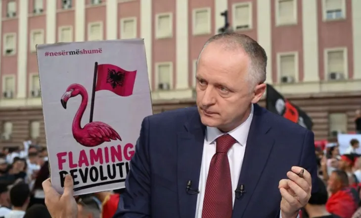 Çfarë ndryshoi në 51 ditë protestë?