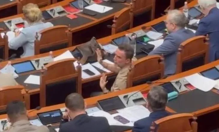 Debat pa mikrofon në Kuvend, Braçe-Muçit: Po partinë tënde kush e financon?