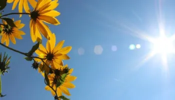 Diell dhe temperatura të qëndrueshme/ Mësoni parashikimin e motit, për ditën e sotme