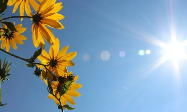 Diell dhe temperatura të qëndrueshme/ Mësoni parashikimin e motit, për ditën e sotme