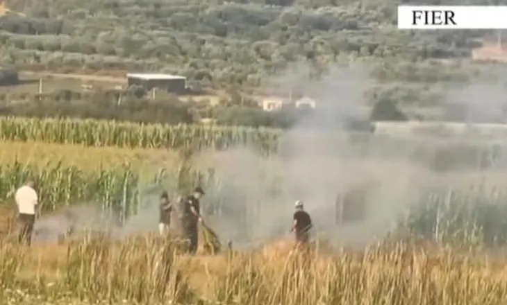 Dogjën mbeturinat në ara, flakët dolën jashtë kontrollit dhe rrezikuan banesat, 1 i arrestuar në Fier