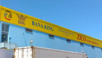 Drejtësia vendos pafajësi për “bananet”! Zbardhet vendimi i gjykatës: Kokaina “u harrua” nga italianët
