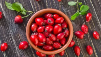 E dinit?/ Trëndafili i egër: Fruti i pasur me vitaminë C që forcon imunitetin, dhe përmirëson shëndetin