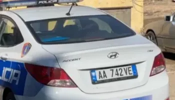E rëndë, e zuri druri poshtë, humb jetën 36-vjeçari në Kolonjë