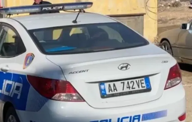 E rëndë, e zuri druri poshtë, humb jetën 36-vjeçari në Kolonjë