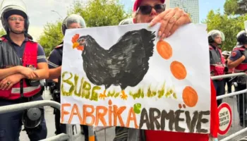 Edi Rama i pabesë, ju me gaz ne me vezë”, qytetarët me domate e speca para Parlamentit