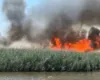 Era ndihmon flakët, zjarri i madh përfshin plazhin e Tales në Lezhë