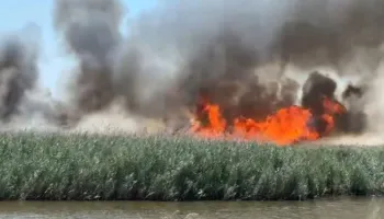 Era ndihmon flakët, zjarri i madh përfshin plazhin e Tales në Lezhë