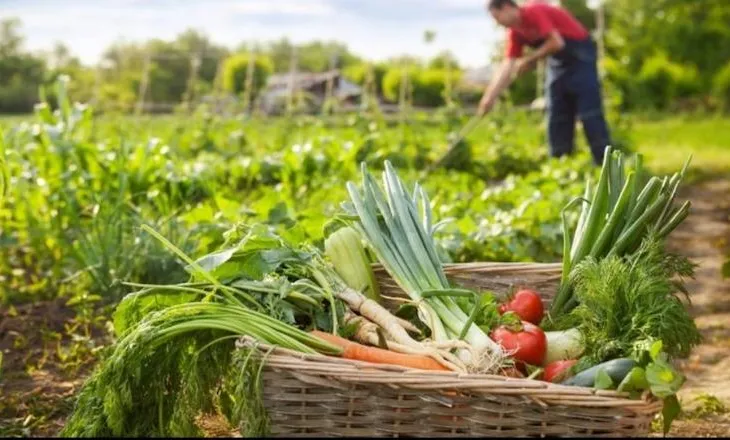 Fermerët përfitojnë nga kompensimi 10% i TVSH-së, aplikimet vijojnë deri më 31 korrik