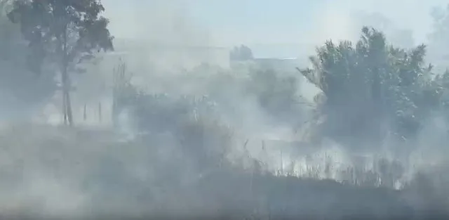 Flakë në Novoselë, zjarrfikësit në vendngjarje, rrezikohen disa banesa