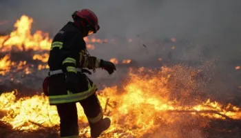 Flakët përfshijnë Francën, Kosova shpreh gatishmërinë për të dërguar ndihmë