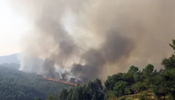 Flakët përfshijnë Portugalinë, 800 zjarrfikës në betejë me zjarrin! Evakuohen banorët