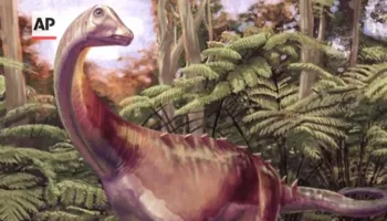Fosili i rrallë i një dinosauri nga Antarktida gjendet i fshehur…në sirtar