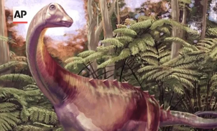 Fosili i rrallë i një dinosauri nga Antarktida gjendet i fshehur…në sirtar