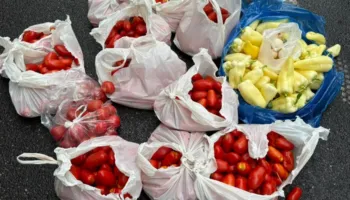 FOTO/ Domate, speca dhe vezë! Protestuesit bëjnë gati ‘arsenalin’ kundër deputetëve