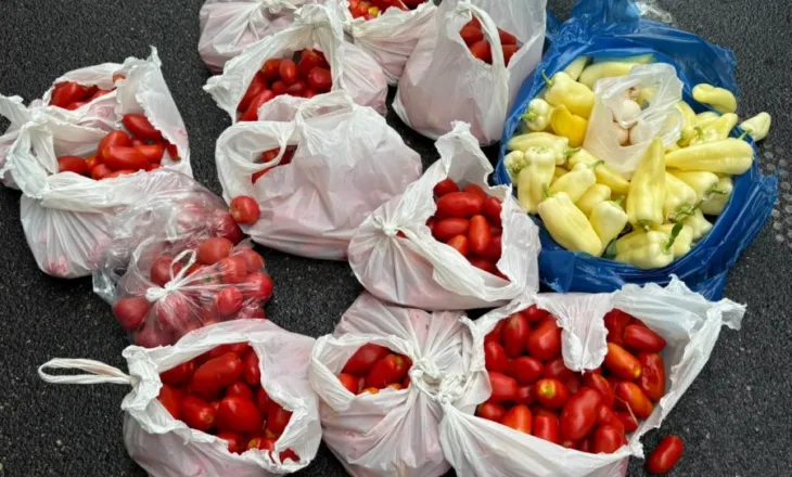 FOTO/ Domate, speca dhe vezë! Protestuesit bëjnë gati ‘arsenalin’ kundër deputetëve