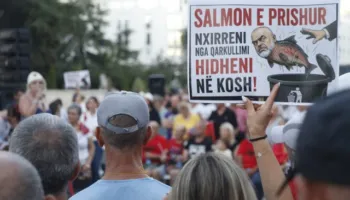 FOTO-LAJM/ Nga flamingot te salmoni, ja cilat ishin simbolikat e ditës së 36- të protestës antiqeveritare